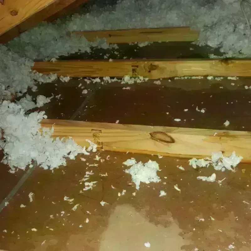 Attic Water Damage in Virginia Beach, VA