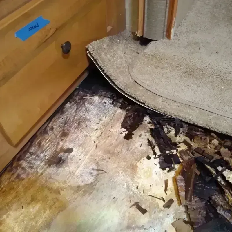 Wood Floor Water Damage in Virginia Beach, VA